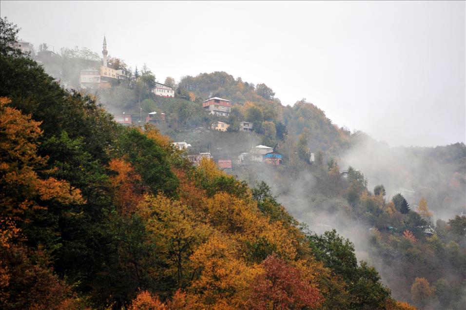 KARADENIZ RENGARENK 
