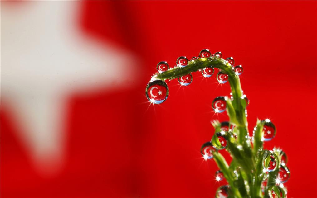 DAMLALARA OBJEKTIFIYLE DOKUNUYOR
