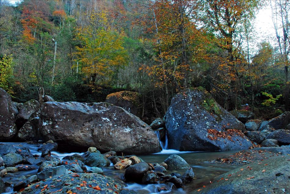 DOGU KARADENIZ'DE SONBAHAR