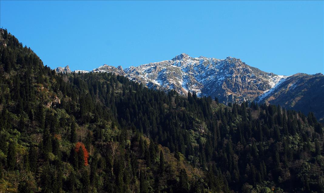 DOGU KARADENIZ'DE SONBAHAR