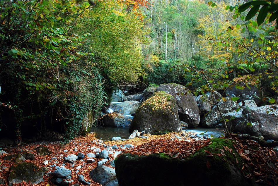 DOGU KARADENIZ'DE SONBAHAR