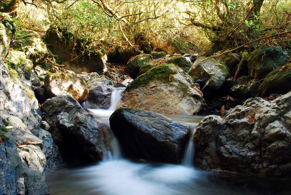 DOGU KARADENIZ'DE SONBAHAR