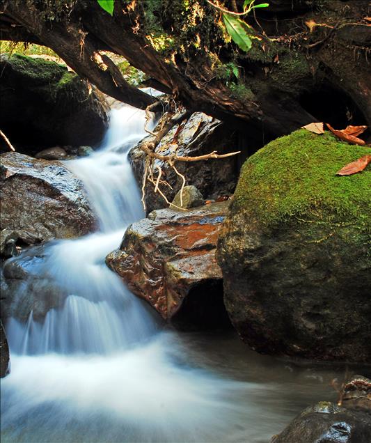DOGU KARADENIZ'DE SONBAHAR