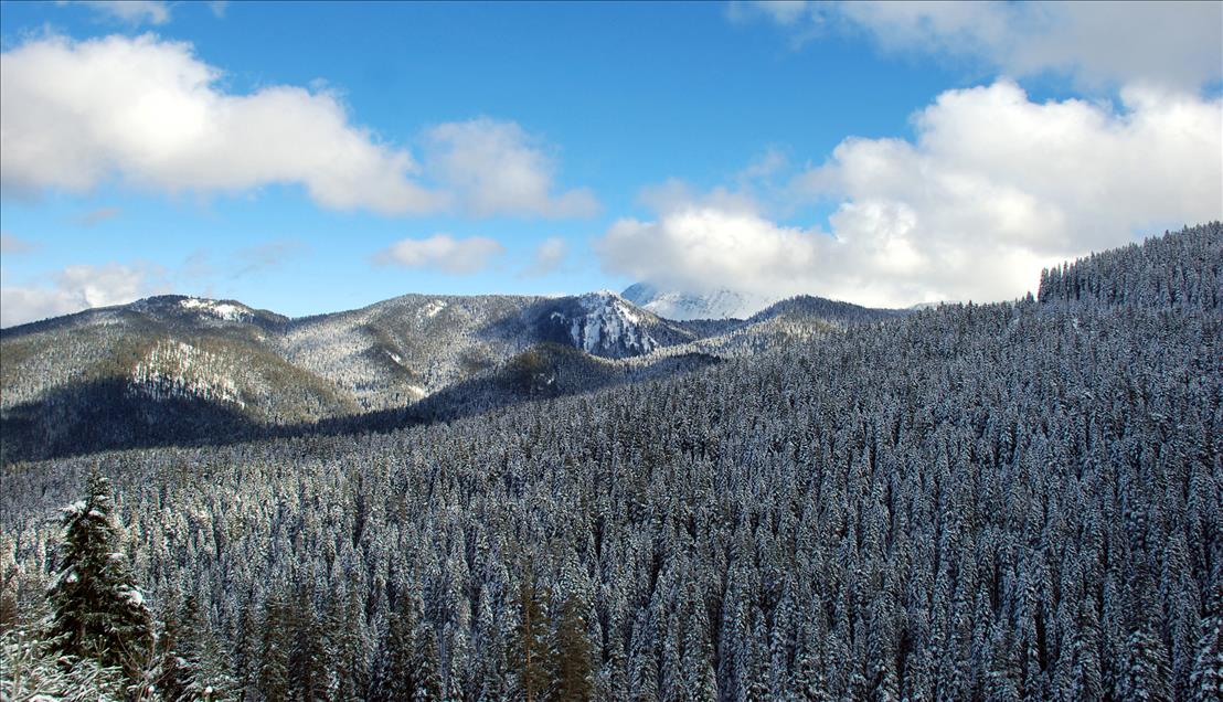 ILGAZ'DA KAR