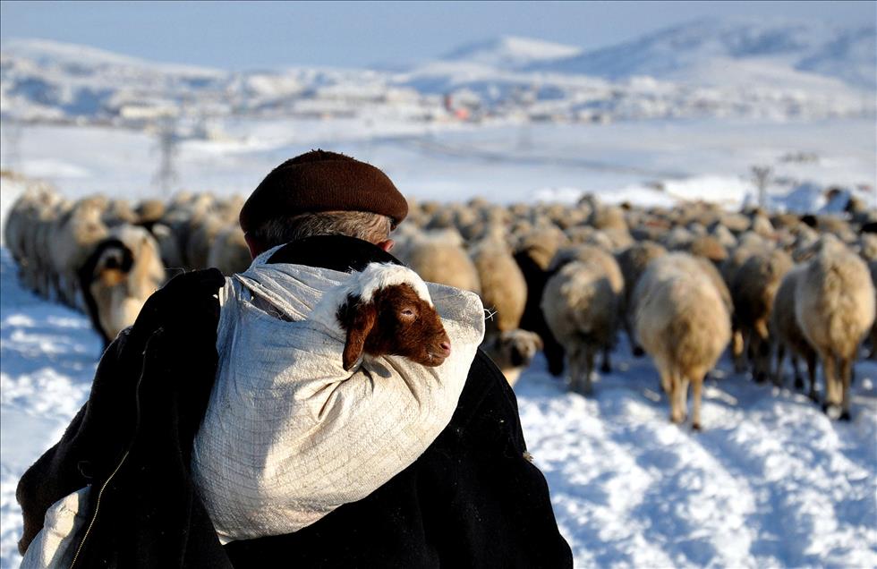 AA'DAN YILIN FOTOGRAFI OYLAMASI (3)