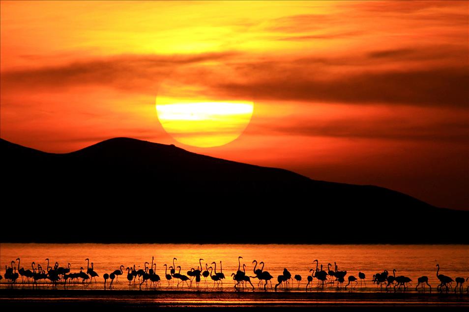 AA'DAN YILIN FOTOGRAFI OYLAMASI (3)