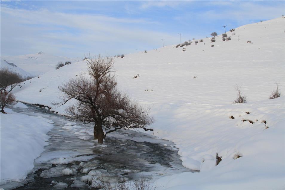 DOGU ANADOLU'DA KIS