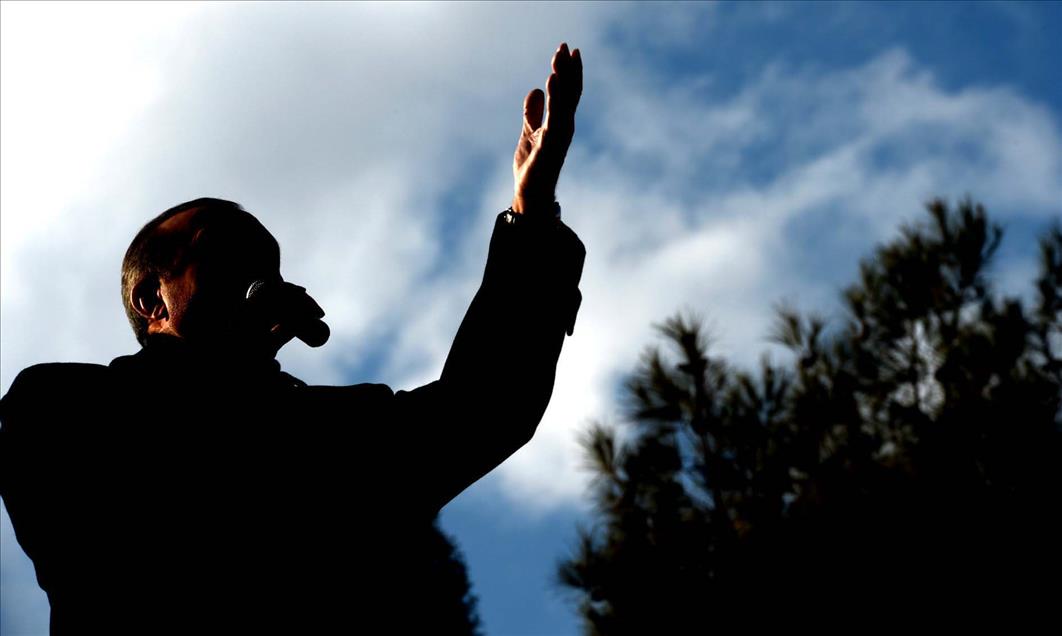 BASBAKAN ERDOGAN, CEYLANPINAR'DA