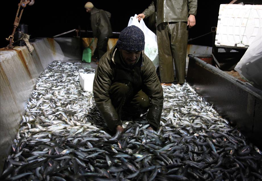 BALIKCILAR YENI YILA DENIZDE GIRDI