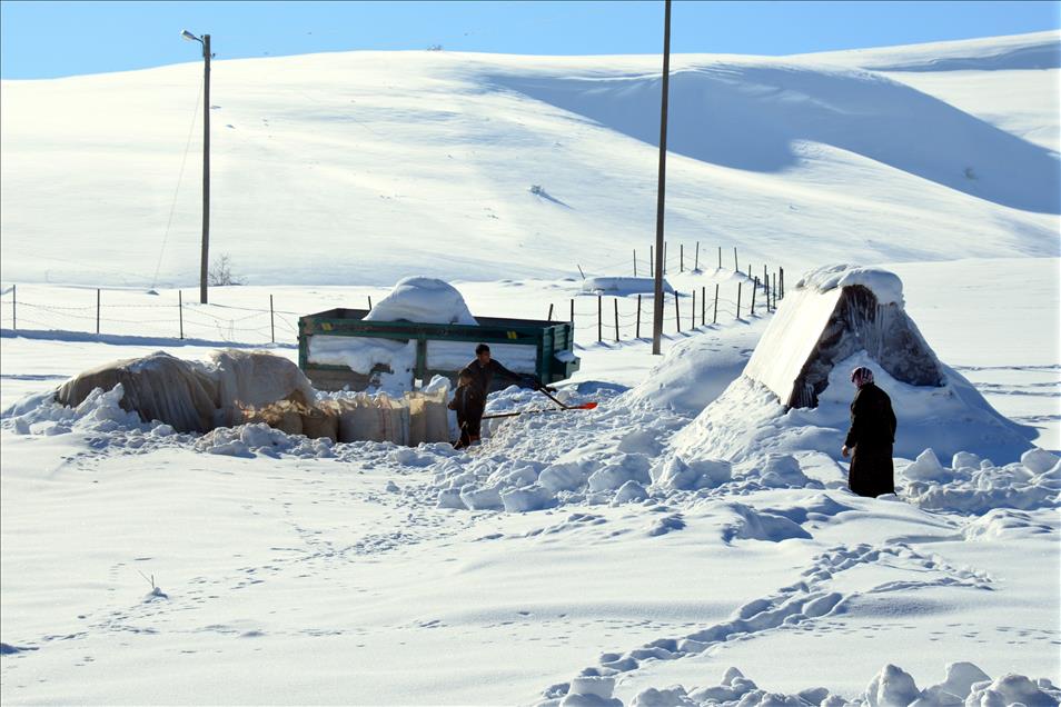 DOGU ANADOLU'DA KIS