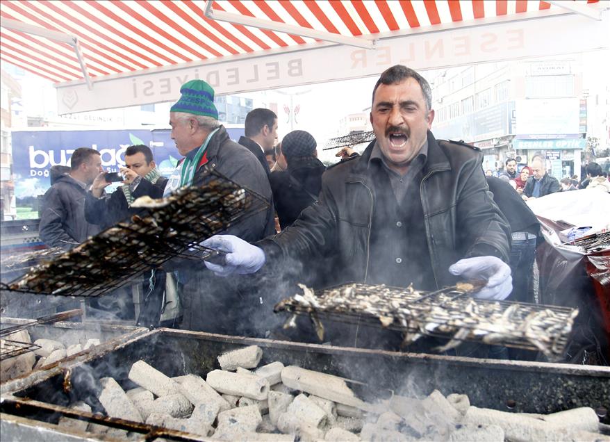 4. HAMSI VE HORON FESTIVALI