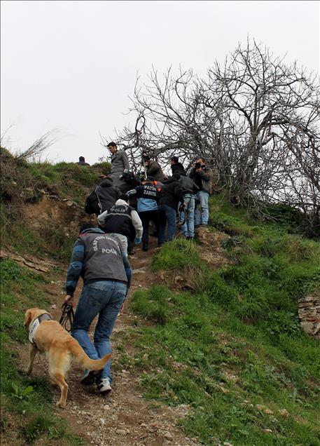 ABD'LI SARAI SIERRA'NIN CESEDININ BULUNMASI