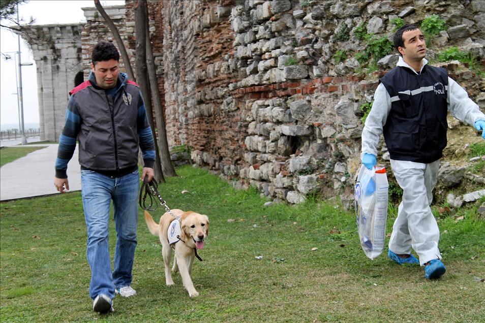 ABD'LI SARAI SIERRA'NIN CESEDININ BULUNMASI