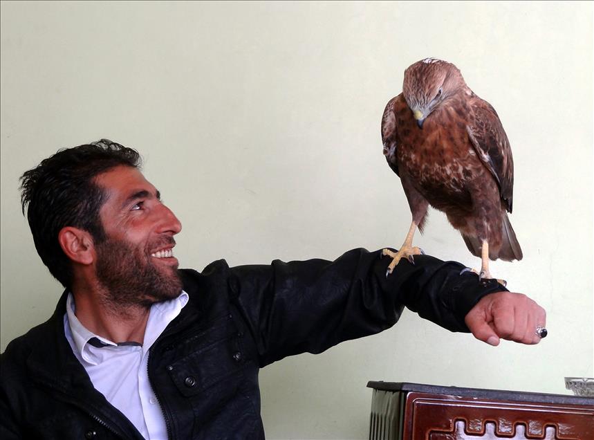 UC YILDIR BESLEDIKLERI SAHIN, AILEDEN BIRI OLDU