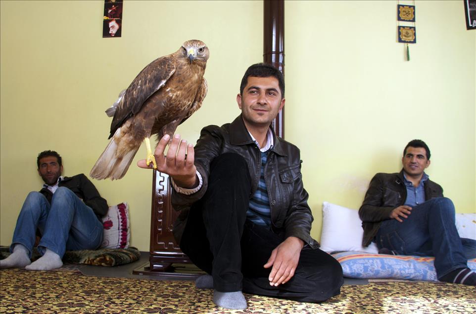 UC YILDIR BESLEDIKLERI SAHIN, AILEDEN BIRI OLDU