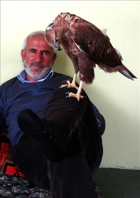 UC YILDIR BESLEDIKLERI SAHIN, AILEDEN BIRI OLDU