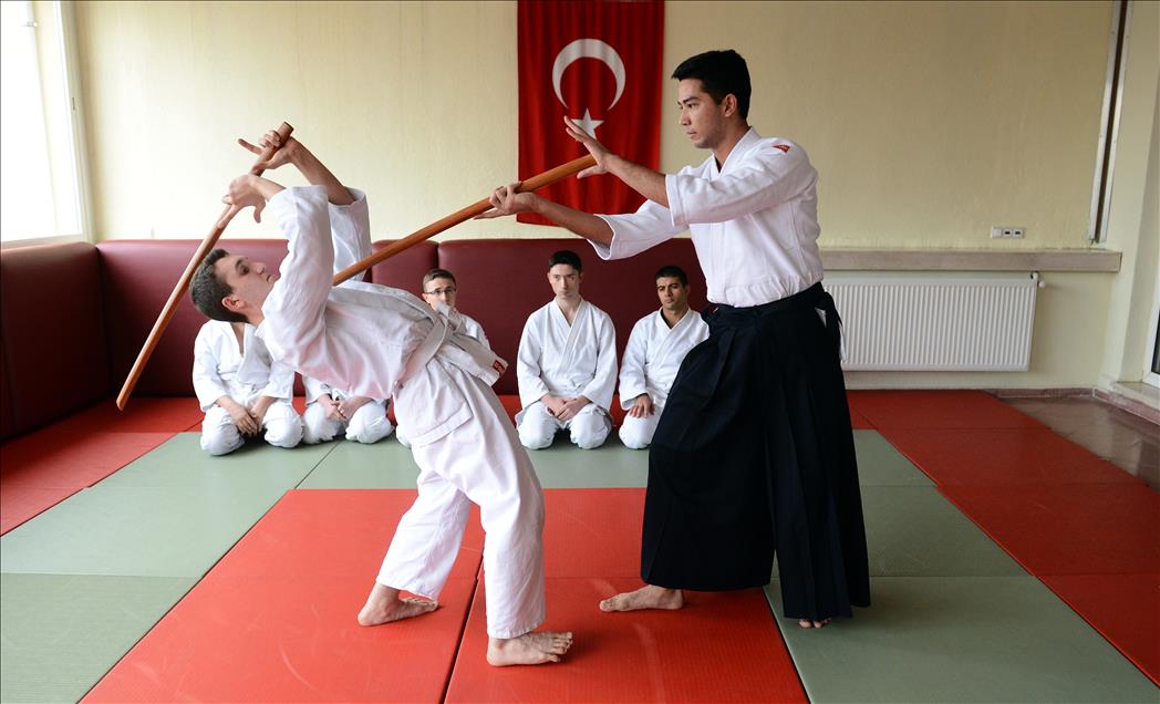 OCAK-MEHMETCIGIN DUNYASI