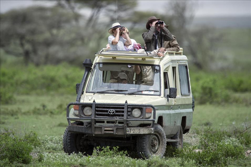 ''SONSUZ DUZLUK'' ANLAMINA GELEN SERENGETI'DE BUYUK GOC