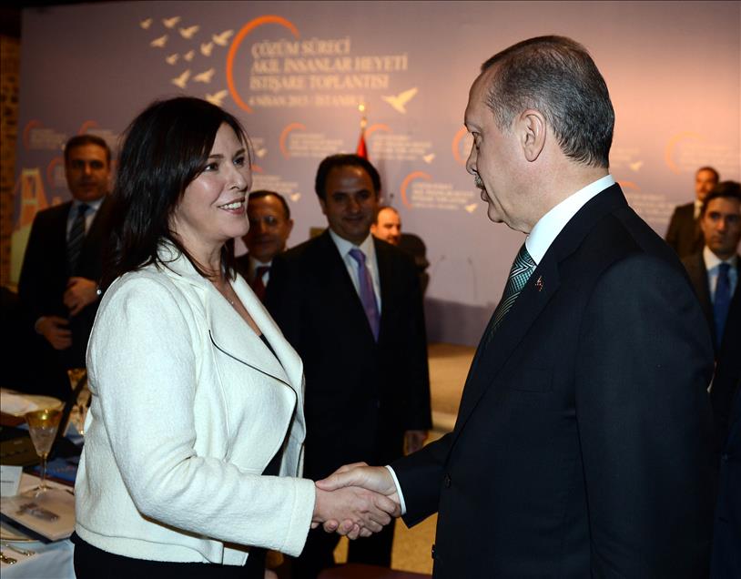 ERDOGAN-AKIL INSANLAR BULUSMASI