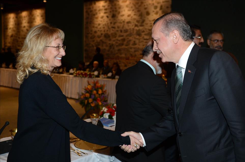 ERDOGAN-AKIL INSANLAR BULUSMASI