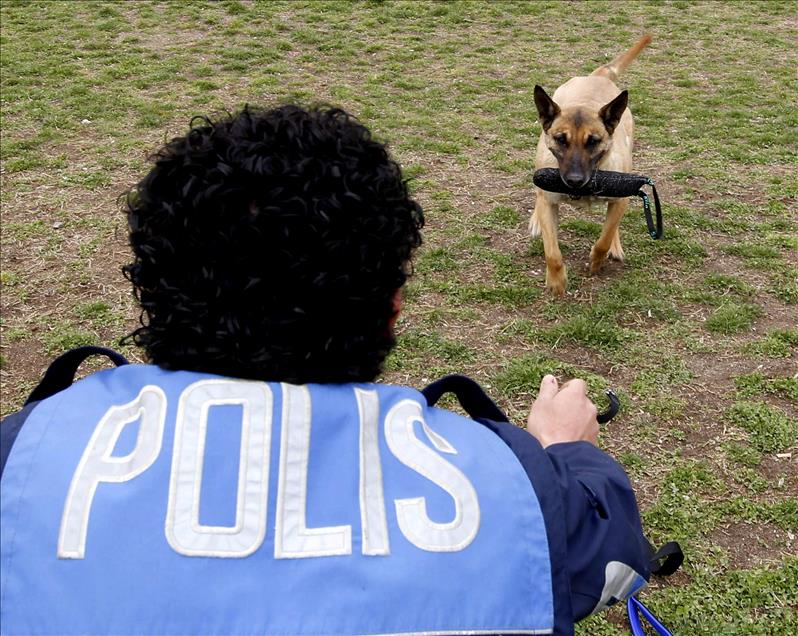 "SUCLULARIN KORKULU RUYASI" OZEL EGITIMLI POLIS KOPEKLERI