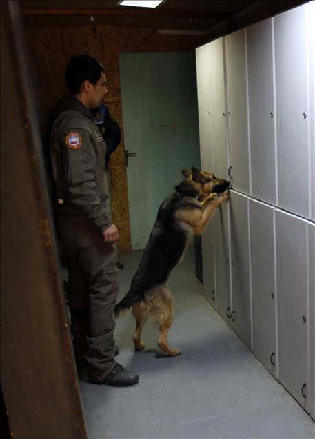 "SUCLULARIN KORKULU RUYASI" OZEL EGITIMLI POLIS KOPEKLERI