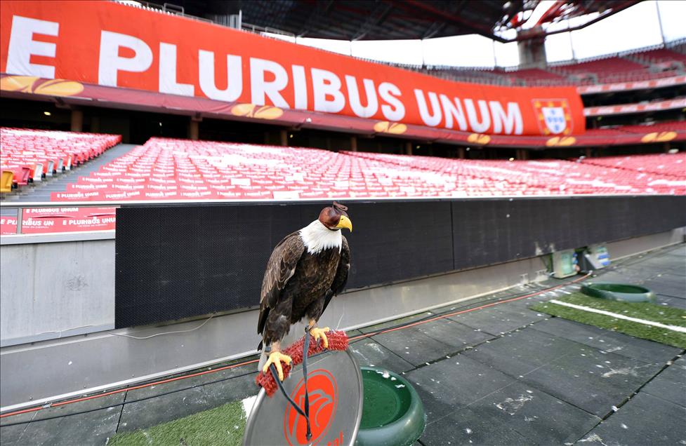 BENFICA - FENERBAHCE MACINA DOGRU
