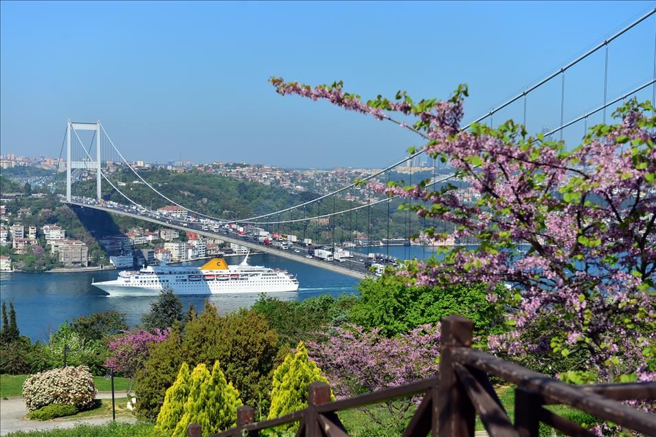 BOGAZ ERGUVAN ACTI