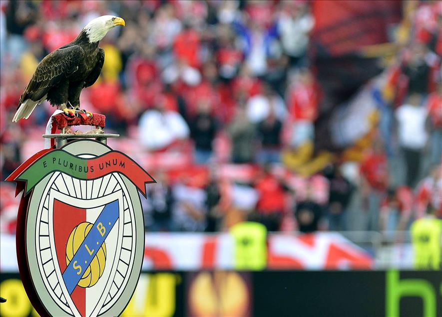 BENFICA-FENERBAHCE