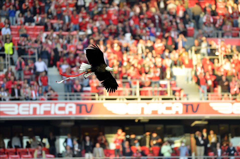 BENFICA-FENERBAHCE