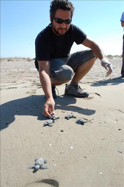 ILK YAVRU CARETTALAR DENIZLE BULUSTU