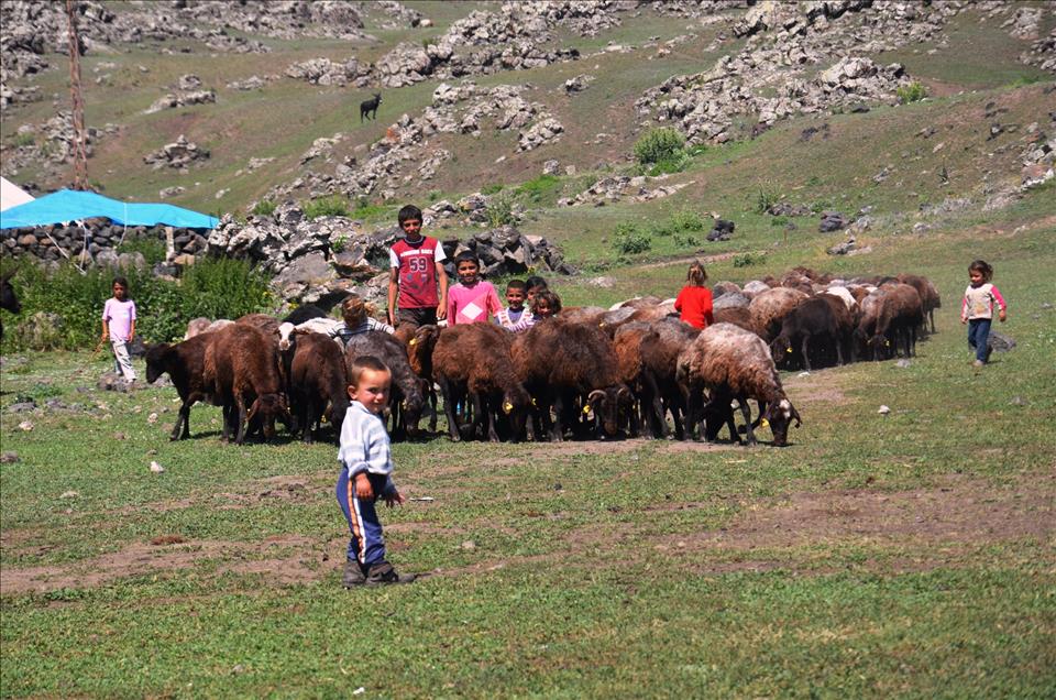 Ramazan ayında çocukların zorlu yayla yaşantısı