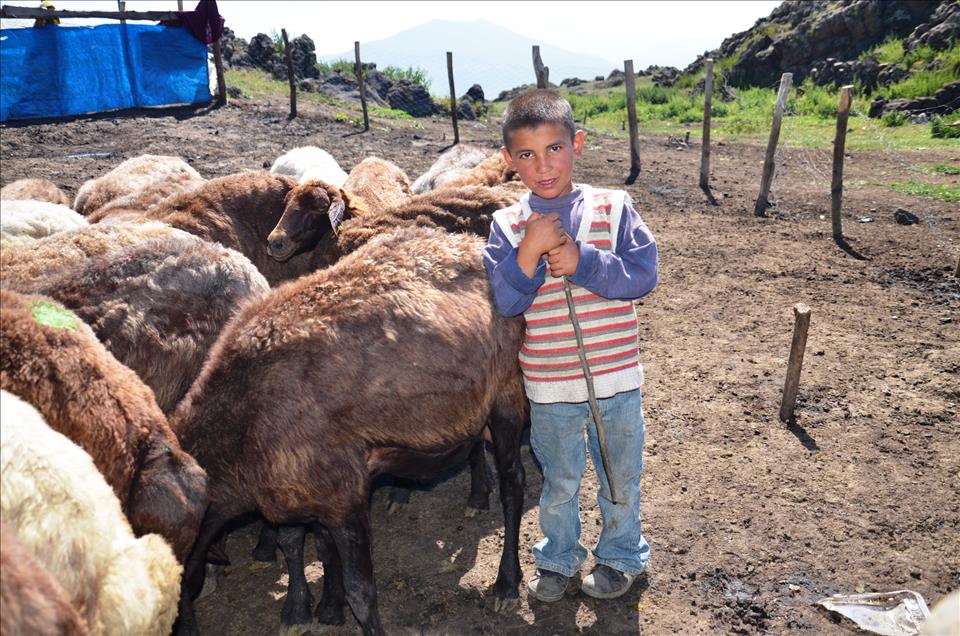 Ramazan ayında çocukların zorlu yayla yaşantısı