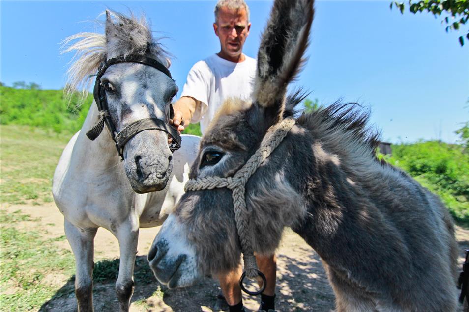 Avrupa'nın ortasında eşek çiftliği