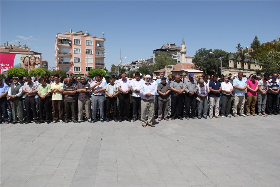 Mısır ve Suriye'deki katliamlara tepki gösterileri