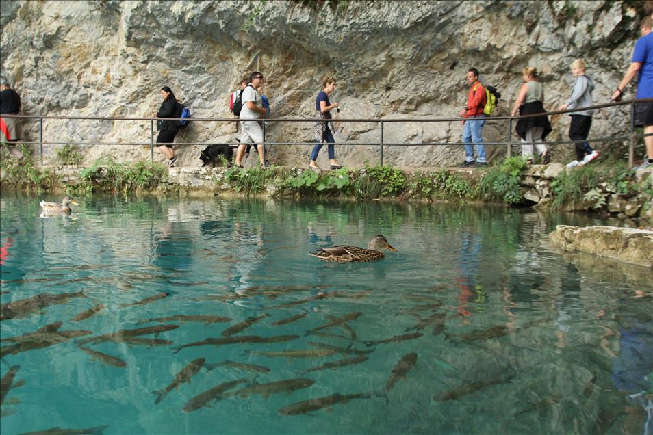 Yeryüzü cenneti: Plitvice Milli Parkı
