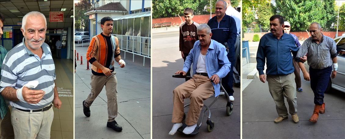 Acemi kasaplar iş başında