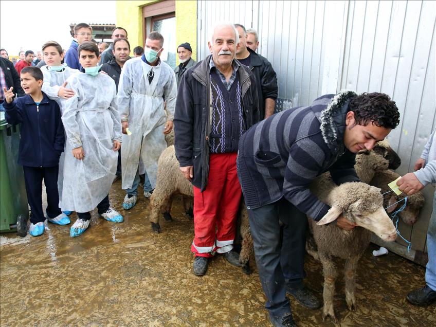 Almanya'da Kurban Bayramı kutlanıyor