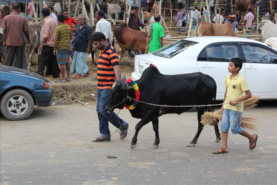 Bangladeş'te Kurban Bayramı