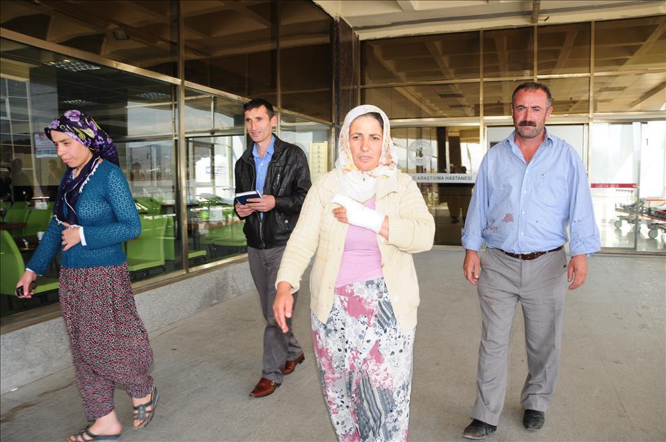 Acemi kasaplar iş başında