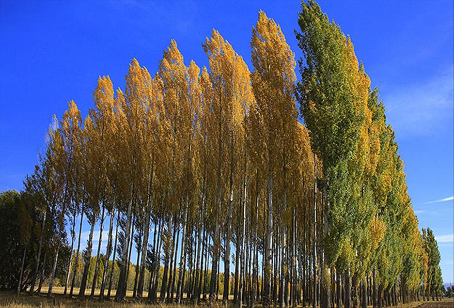 سروشت لە باوەشی پایزدا