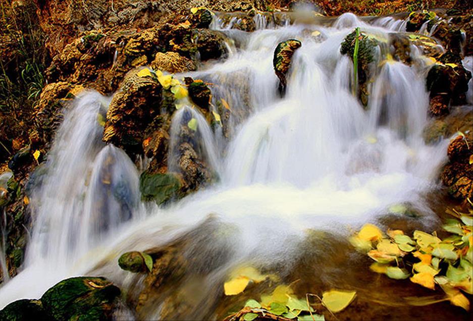 سروشت لە باوەشی پایزدا