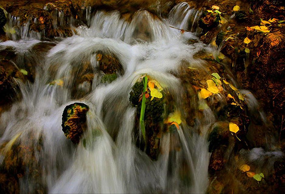سروشت لە باوەشی پایزدا