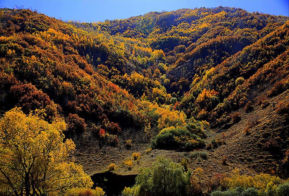 سروشت لە باوەشی پایزدا