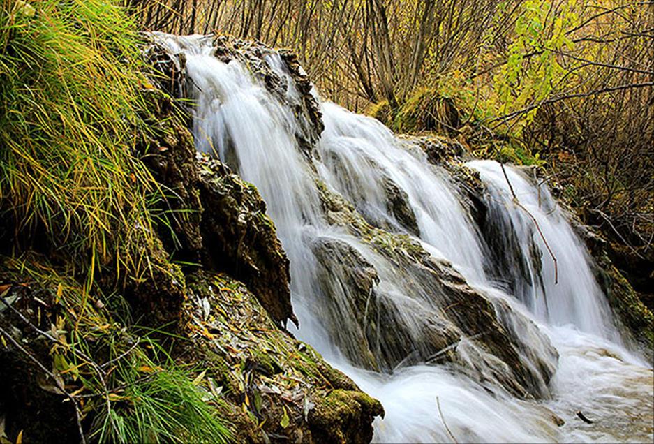 سروشت لە باوەشی پایزدا