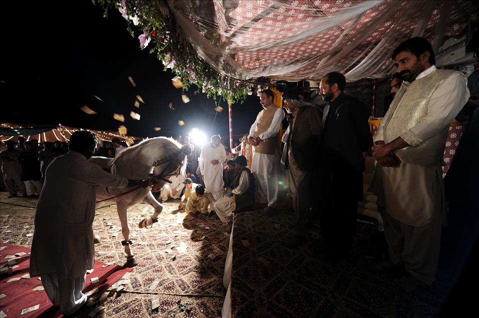 Atlar ve İnsanların dansı