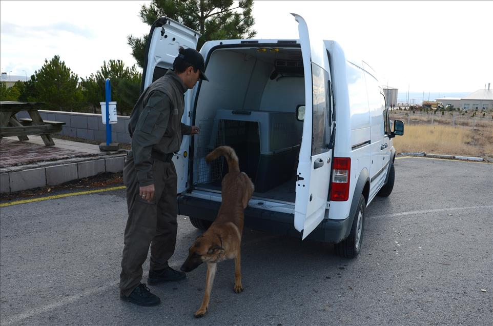 Bombanın ucundaki hayatlar