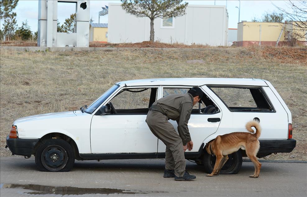 Bombanın ucundaki hayatlar