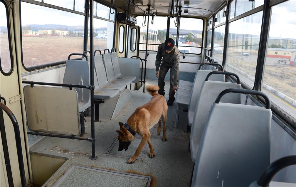 Bombanın ucundaki hayatlar