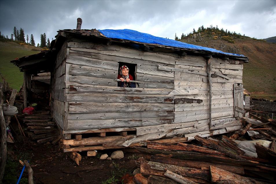 2013 Yılına İmza Atan AA Yaşam Fotoğrafları